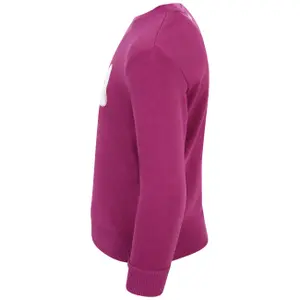 Sweatshirt round neck child Fila SVEG Logo image-2