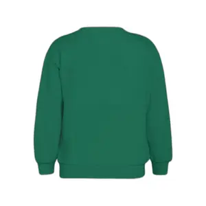 Sweatshirt round neck child Fila Brebel Blocked image-1