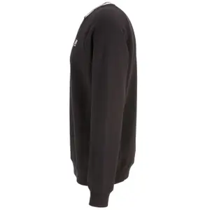 Sudadera cuello redondo Fila Bilecik Raglan image-3