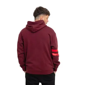 Sudadera con capucha Fila Tabriz image-1