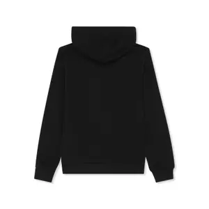 Sudadera con capucha Fila Rifredi Regular Graphic image-1