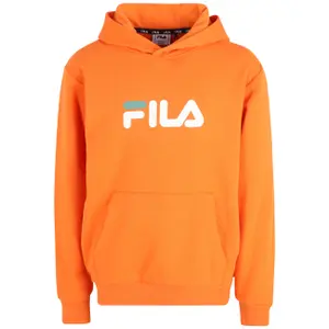 Hoodie Children's Fila Sande Classic Logo image-0