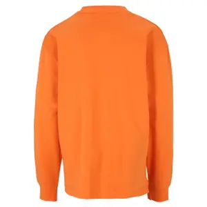 Long sleeve t-shirt Fila Teisendorf image-1