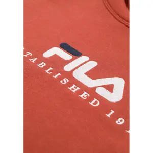 Sudadera con capucha a Fila Valsera Regular Logo image-0
