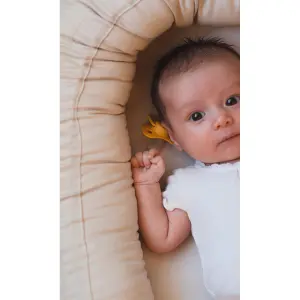 Set of 2 anatomic silicone baby teats Filibabba image-5