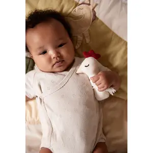 Rattle Filibabba Chicken image-3