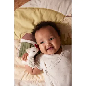 Rattle Filibabba Chicken image-4