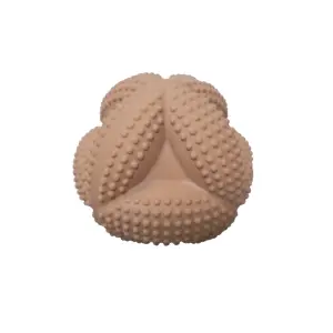 Sensory stimulation games Filibabba Isa image-0