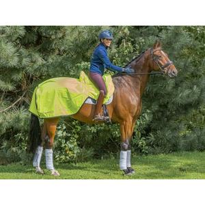 product/f/i/finer-equine_fe005_4.jpg