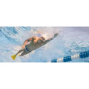 Fins from Finis Edge image-1