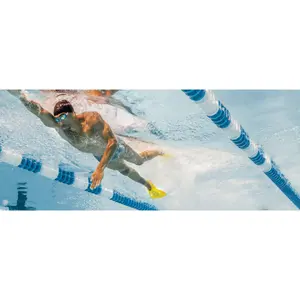 Fins from Finis Edge image-2