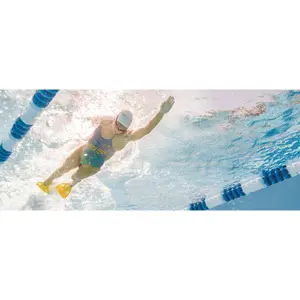 Fins from Finis Edge image-4