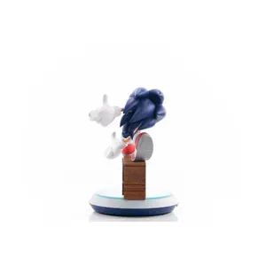 PVC soška First 4 Figures Sonic Adventure Sonic the Hedgehog Collector's Edition image-3