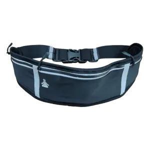 Running Belt Fitpaddy FitBelt image-1