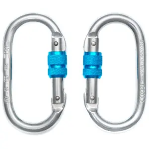 Mousqueton Klettern symmetrisch Edelstahl mit Schraube Fixe (x20) image-1