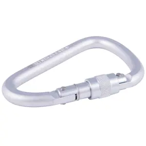 Karabiner Klettern Fixe Big Screw
