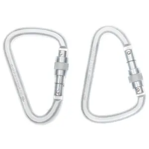 Karabiner Klettern Fixe Big Screw image-1