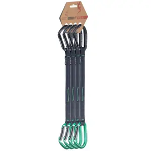 Karabiner Klettern Fixe Puput (x4)