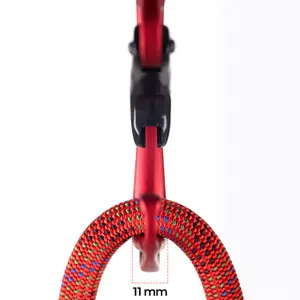 Karabiner Klettern Fixe Picot (x4) image-2