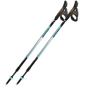 Bastones de marcha nórdica Fizan Speed