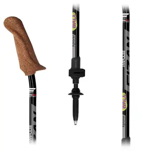 Stavar för stavgång Fizan Walx Xplorer image-1