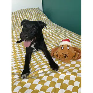Dog toy Fizz Creations The Grinch Max image-2