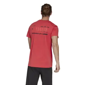 T-shirt adidas Terrex Graphics image-5