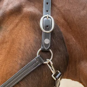 Leather halter for horses Flags&Cup image-1