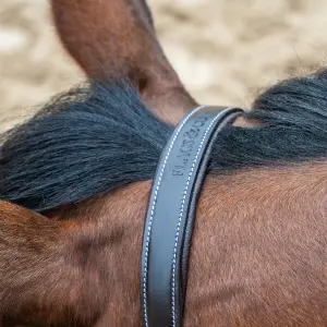 Leather halter for horses Flags&Cup image-2