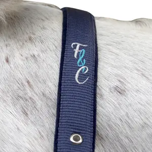 Conjunto de cabresto e corda de chumbo para cavalo Flags&Cup Varna image-1