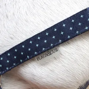 Conjunto de cabresto e corda de chumbo para cavalo Flags&Cup Varna image-2