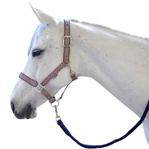 Halstørklæde og føringsreb til hest Flags&Cup Varna image-0