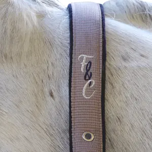 Halstørklæde og føringsreb til hest Flags&Cup Varna image-1