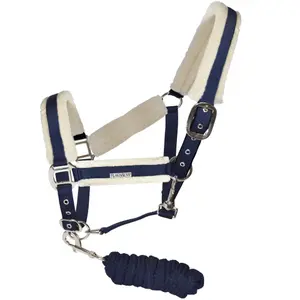 Set aus Halfter und Longiergurt für Pferde Flags&Cup Velta image-0