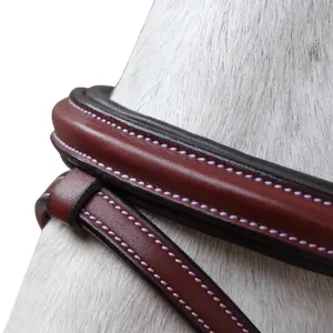 Hovedtøj til ridning Flags&Cup Lanaken image-1