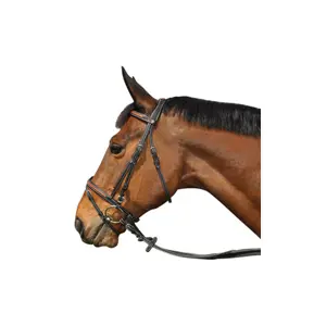 Cabeçotes de cavalo Flags&Cup Oslo image-0