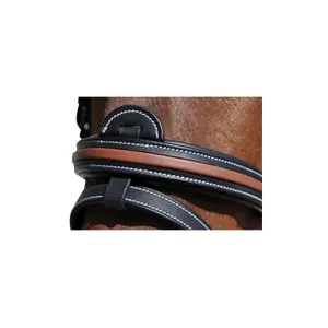 Cabeçotes de cavalo Flags&Cup Oslo image-1