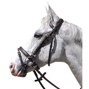 171121-marron-riding-bridles-flags-cup-goteborg-brown