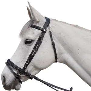 Bridles for horses Flags&Cup Aachen