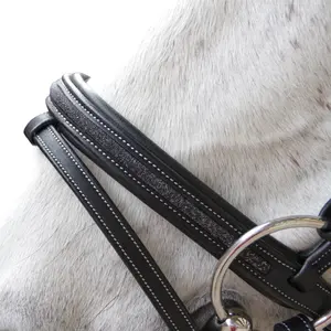 Bridles for horses Flags&Cup Aachen image-1