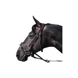 Cabeçotes de cavalo Flags&Cup Hickstead image-0