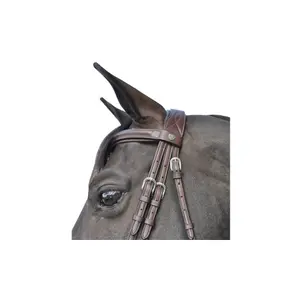 Cabeçotes de cavalo Flags&Cup Hickstead image-2