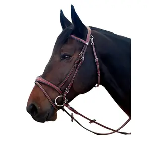 171135-marron-trans-for-ridning-flags-cup-new-york-brun