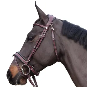 171151-marron-zaumzeug-reiten-flags-cup-madrid-braun