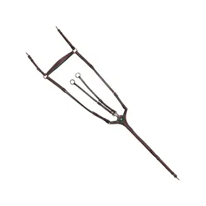 171194-marron-vert-trensen-reiten-kombiniert-flags-cup-paris-braun-grun