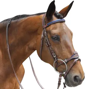 Trensen Reiten kombiniert Flags&Cup Paris image-1