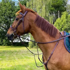 Trensen Reiten kombiniert Flags&Cup Paris image-2