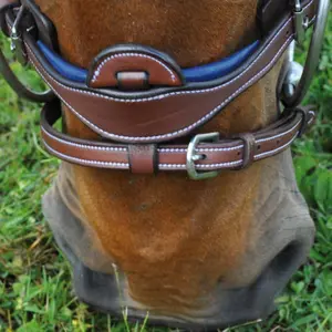 Trensen Reiten kombiniert Flags&Cup Paris image-3