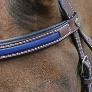 Trensen Reiten kombiniert Flags&Cup Paris image-4