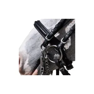 Jawless flanges Flags&Cup Hagen image-2